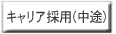 �L�����A�̗p