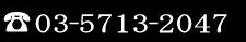 03-5713-2047