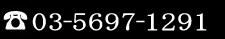 03-5697-1291